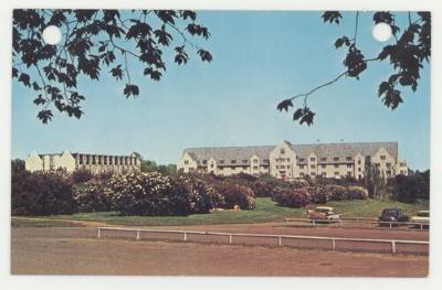 Ellingson and Thorson Hall dormitories for men postcard