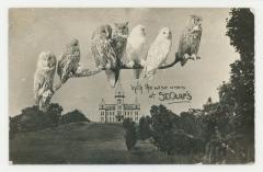 With the wise ones at St. Olaf College postcard