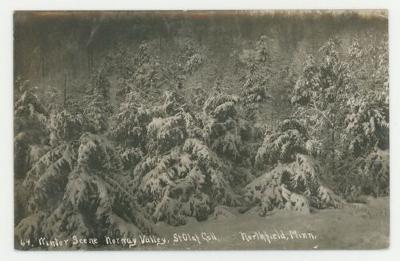 Winter scene, Norway Valley, St. Olaf College postcards