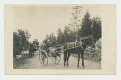 Sulkys ride postcard