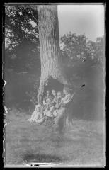 Children in a tree (325)