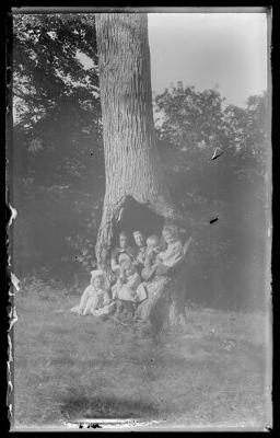 Children in a tree (325)