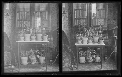 Flower stand (275 and 276)