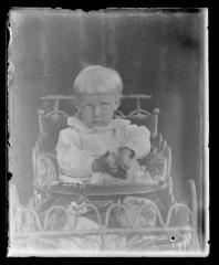 Miss A.R.E Mohn (319)