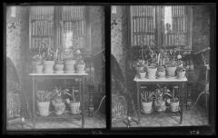 Flower stand (275 and 276)