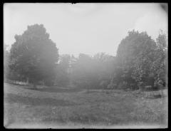 Ladies' Hall from the east (633)