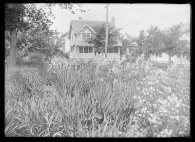 Alumni garden, Holland's house (1397)