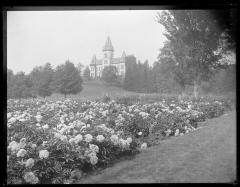 Alumni garden looking towards St. Olaf (1517)