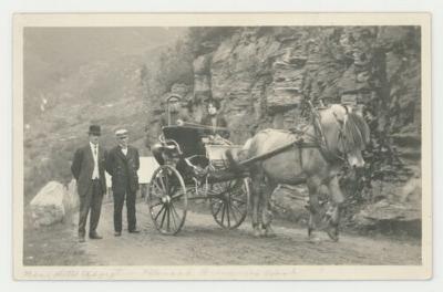 Horse drawn carriage postcard