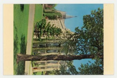 Vines on the exterior of Holland Hall postcard