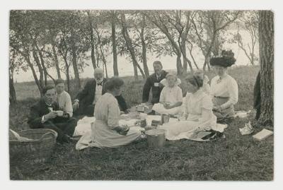 St. Olaf College faculty having a picnic postcard