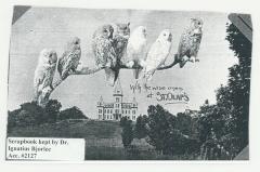 With the wise ones at St. Olaf College postcard