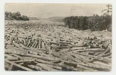 Logging site postcard