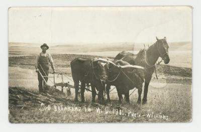 Sod breaking in North Dakota postcard