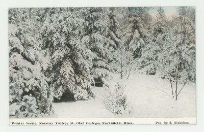 Winter scene, Norway Valley postcard