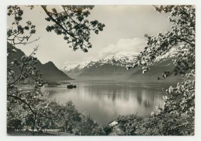 A view of Norway from Hardanger postcard